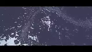 سكس الكلاب البرية: شبق الضبع